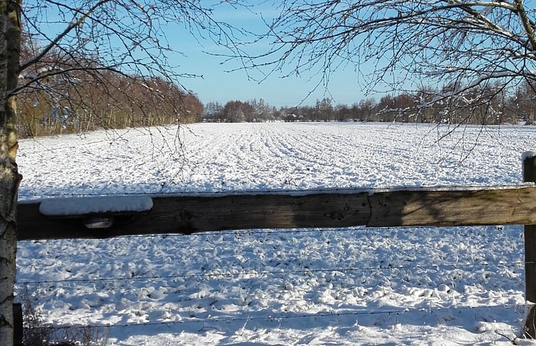 Natuurhuisje in Drogeham