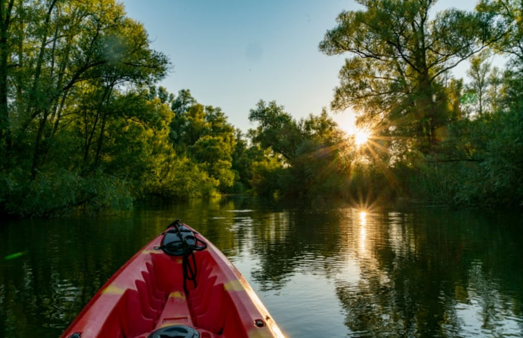 Natuurhuisje in De Biesbosch