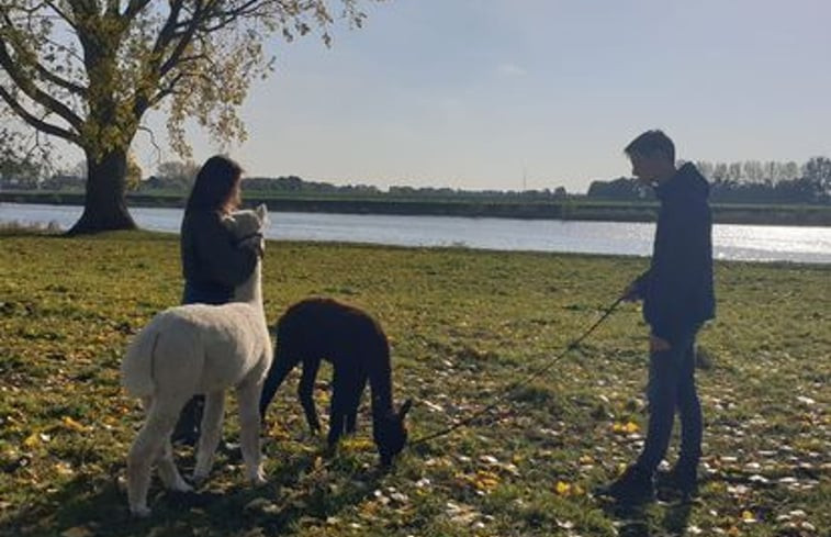 Natuurhuisje in Nederasselt