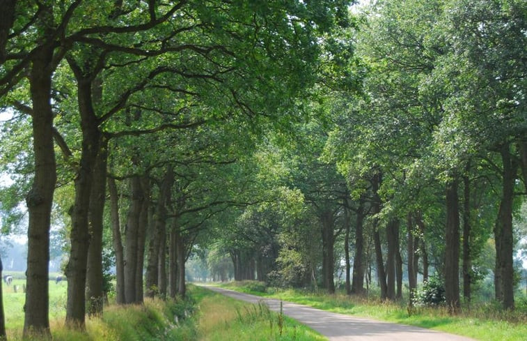 Natuurhuisje in Wapse