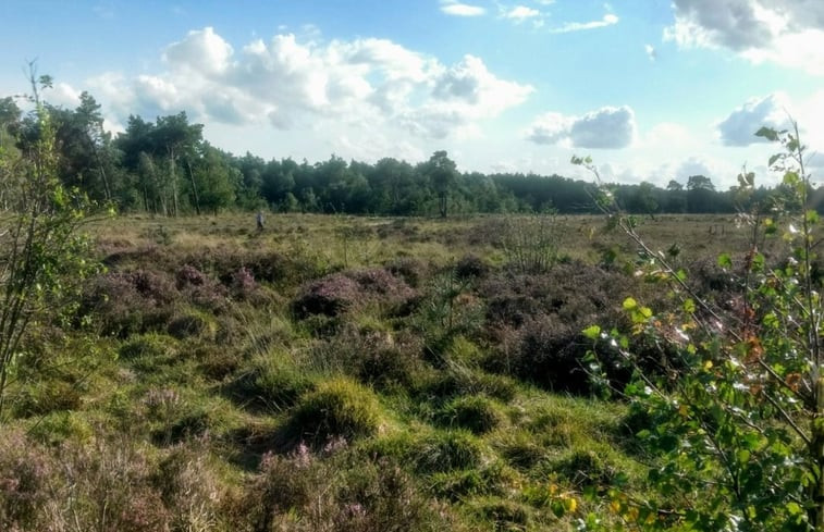 Natuurhuisje in Harfsen