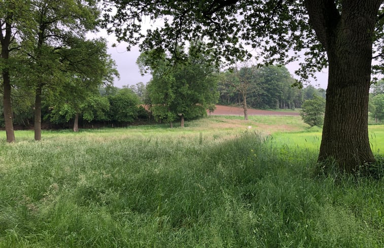 Natuurhuisje in Halle