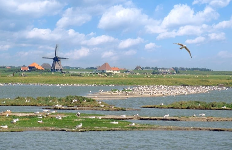 Natuurhuisje in Camperduin/Schoorl