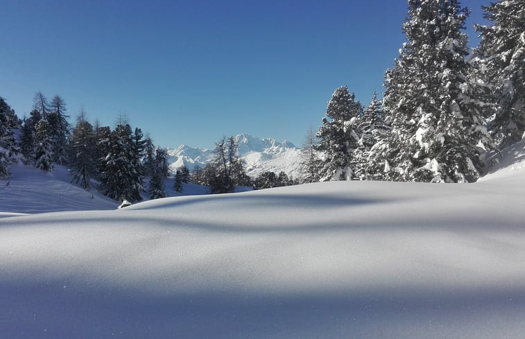 Natuurhuisje in Pila