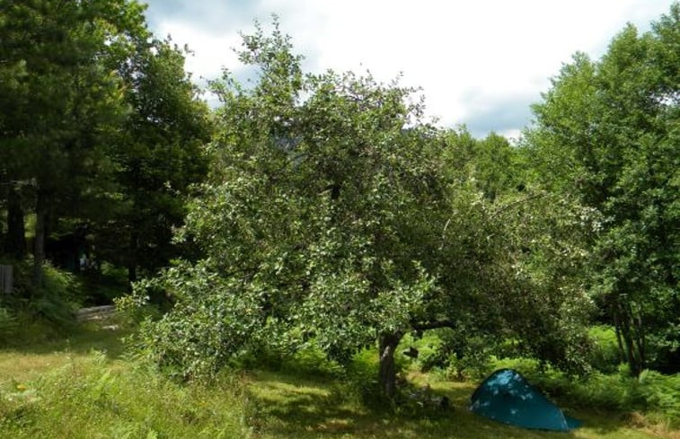 Natuurhuisje in Tattone