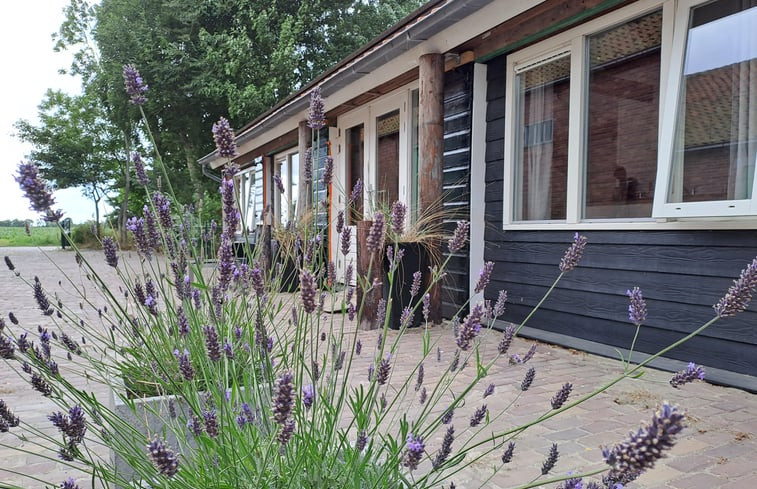 Natuurhuisje in Grijpskerke