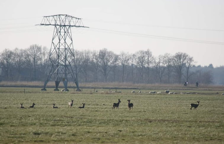 Natuurhuisje in Ouwster-Nijega