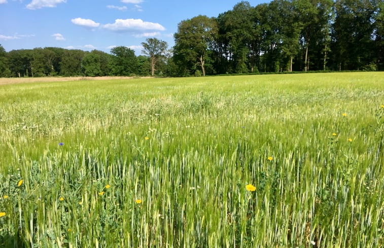 Natuurhuisje in Vierakker