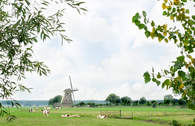 Natuurhuisje in Vreeland