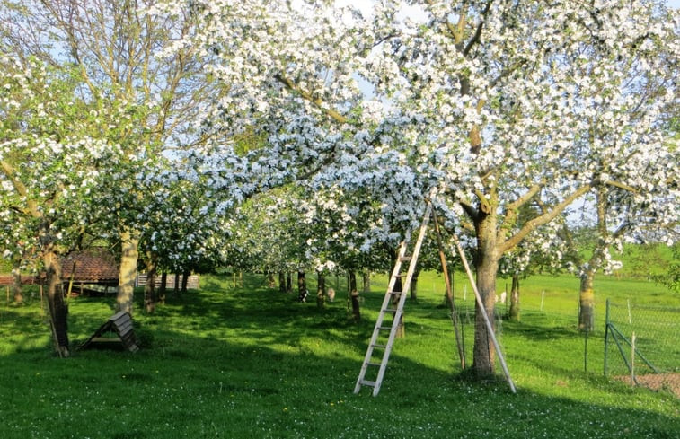 Natuurhuisje in Neu Bleckede