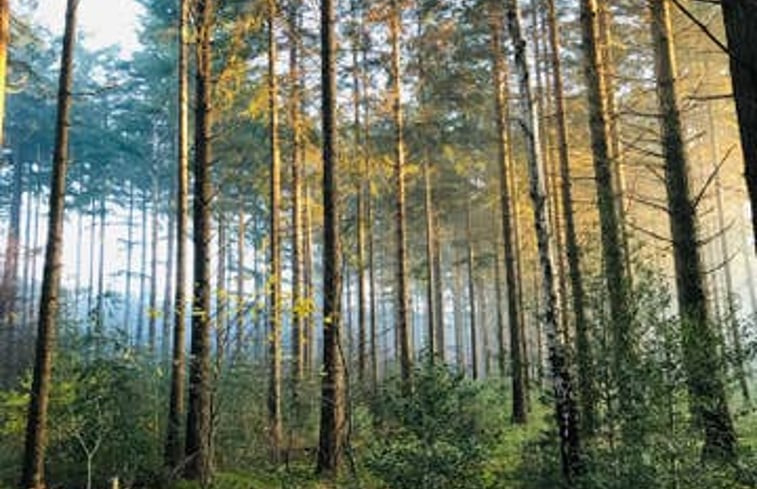 Natuurhuisje in Maarsbergen