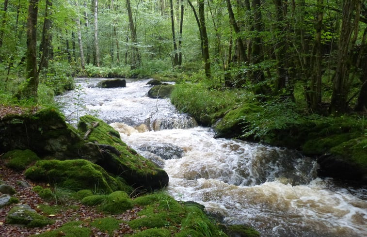 Natuurhuisje in Willerzie