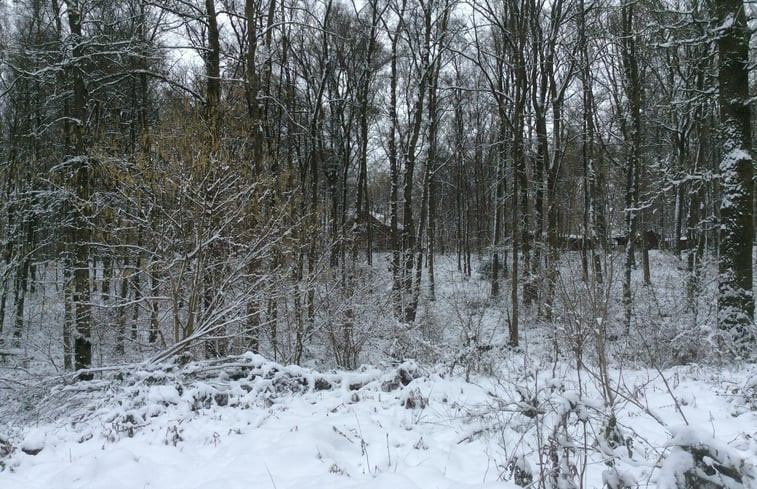 Natuurhuisje in Couvin Bruly de Pesche