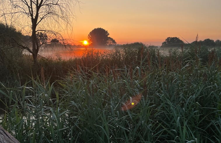 Natuurhuisje in Sint-Oedenrode