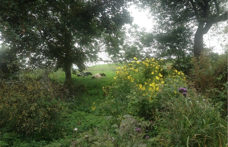 Natuurhuisje in Edam