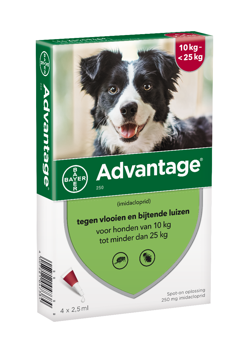 Advantage Hond 250, 10 - 25 kilo 4 pipetten