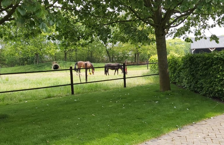 Natuurhuisje in Wilbertoord