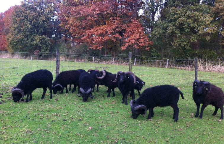 Natuurhuisje in Woudenberg