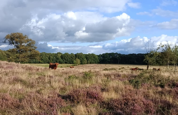 Natuurhuisje in Zeegse