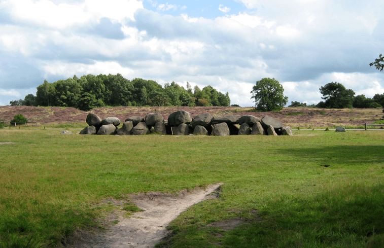 Natuurhuisje in Schoonloo