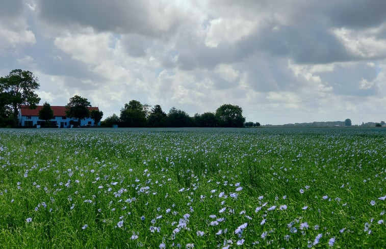 Natuurhuisje in IJzendijke