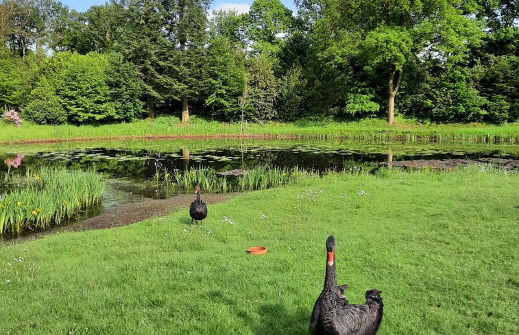 Natuurhuisje in Doetinchem