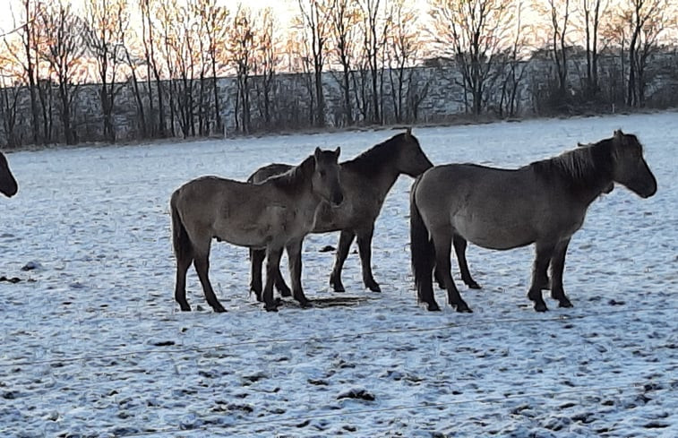 Natuurhuisje in Werkendam