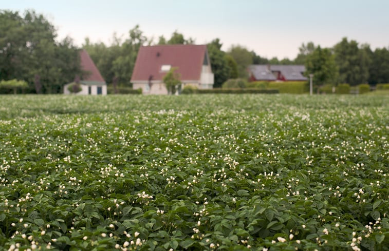 Natuurhuisje in Schoonloo