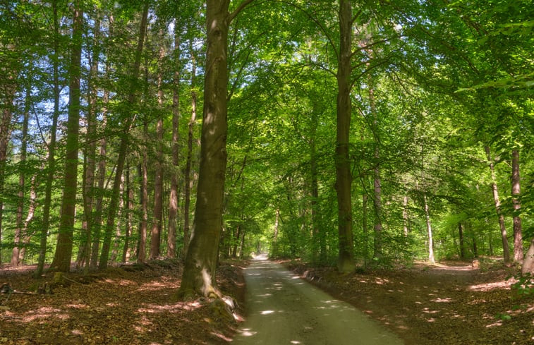 Natuurhuisje in Leersum