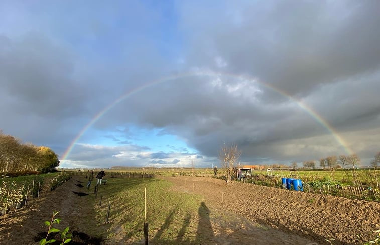 Natuurhuisje in Sommeldsijk