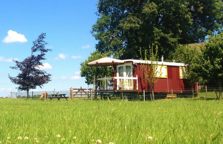 Natuurhuisje in Wezep/Oldebroek