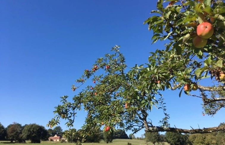 Natuurhuisje in GINAI