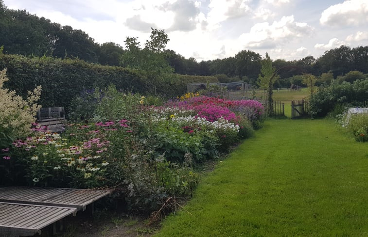 Natuurhuisje in Ruinen