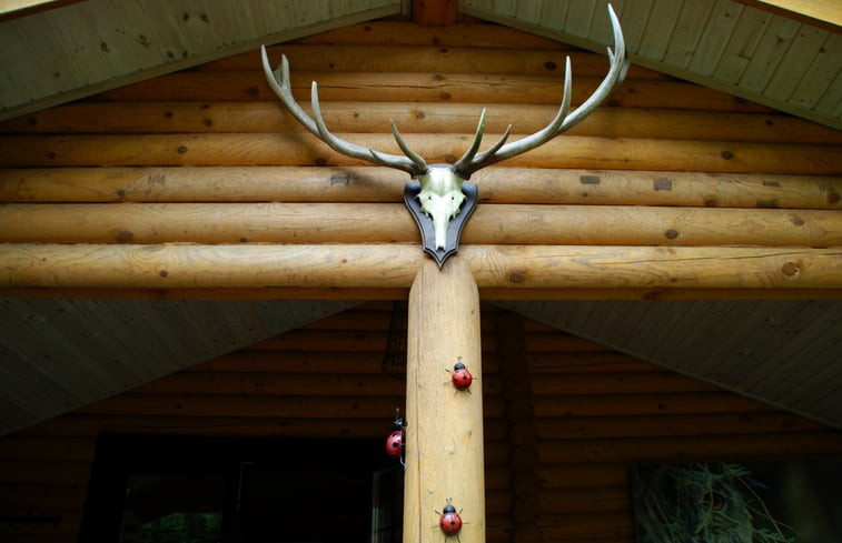 Natuurhuisje in Schoorl