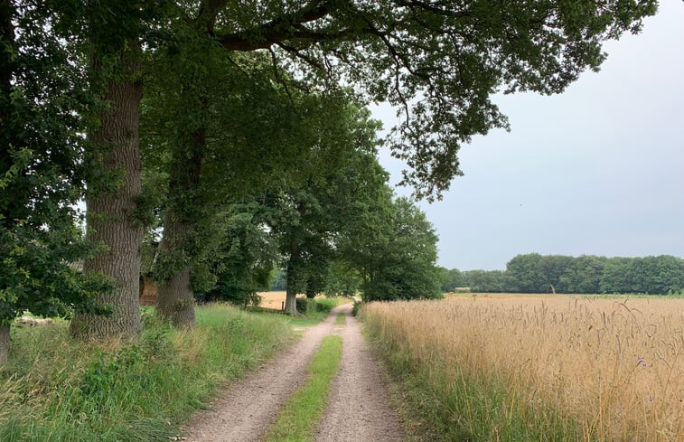 Natuurhuisje in Balkbrug