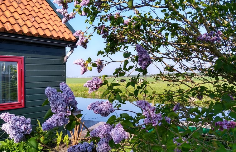 Natuurhuisje in Bodegraven