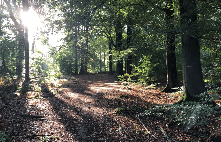 Natuurhuisje in Berg en Dal