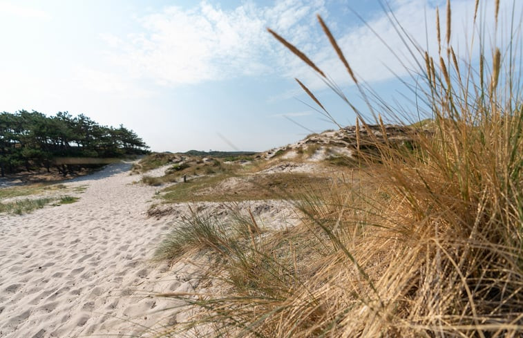 Natuurhuisje in Schoorl