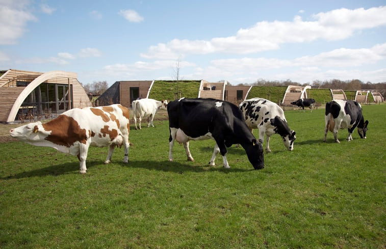 Natuurhuisje in Heeten