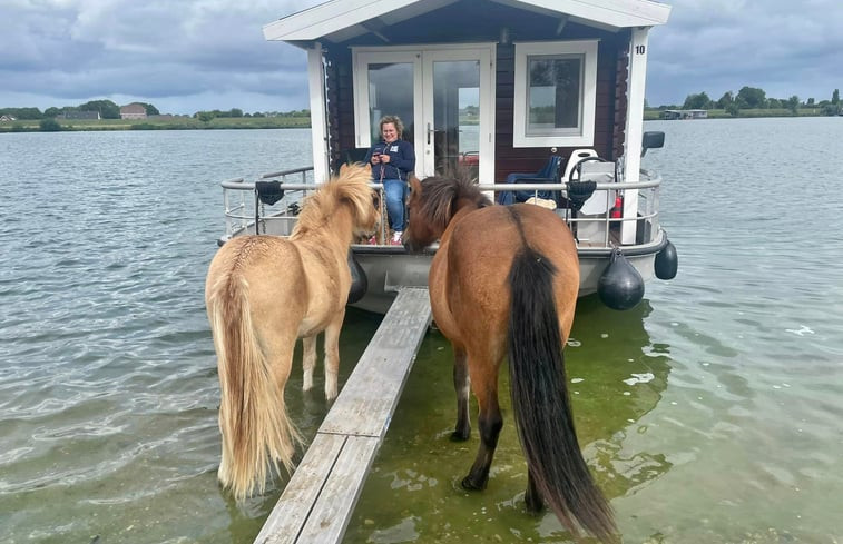 Natuurhuisje in Maasbommel