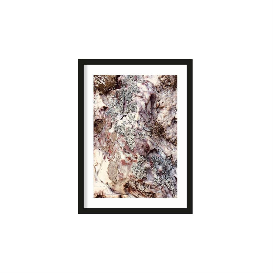 Urban Cotton Artprint Stone Plants