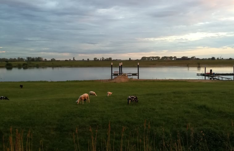 Natuurhuisje in Wellseind