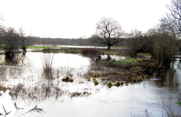 Natuurhuisje in Schipborg