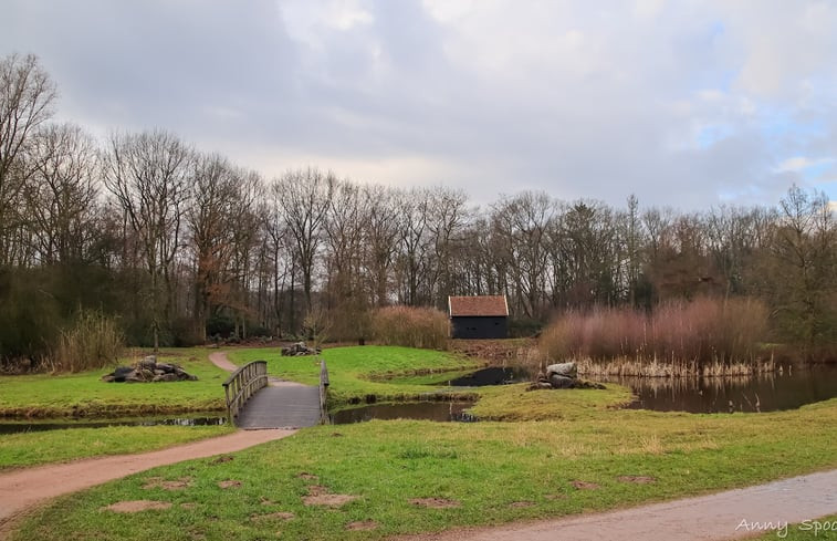 Natuurhuisje in Bornerbroek