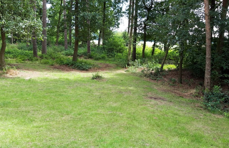 Natuurhuisje in Ommen