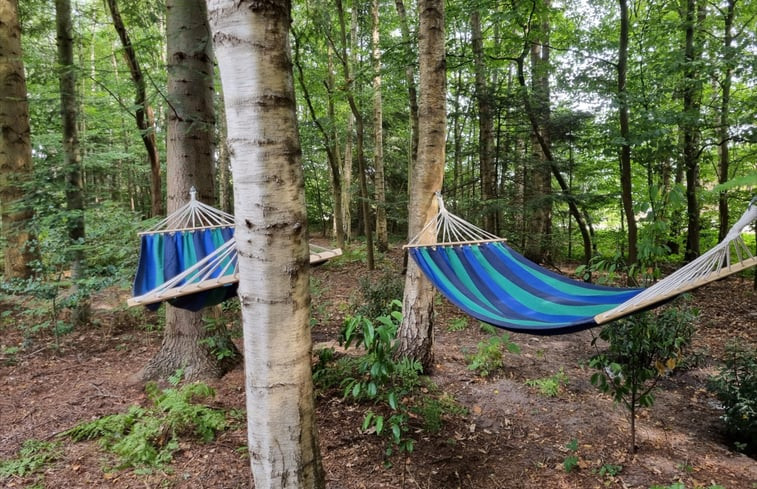 Natuurhuisje in Rijsbergen