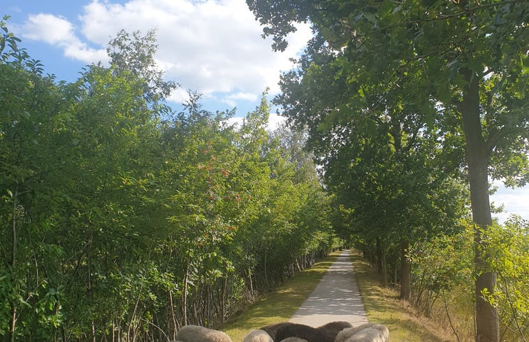 Natuurhuisje in Epe