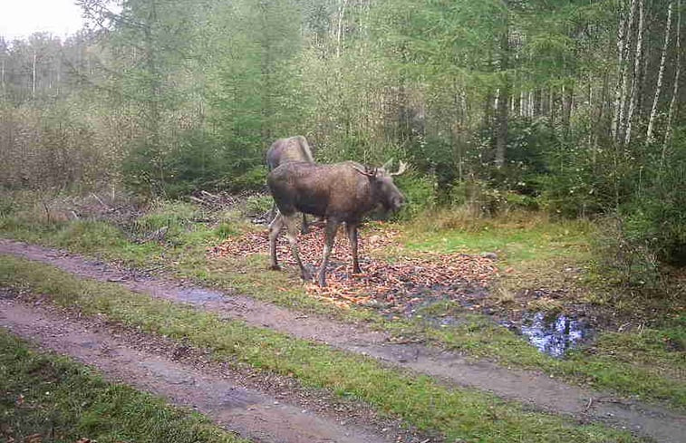 Natuurhuisje in Västra Torup