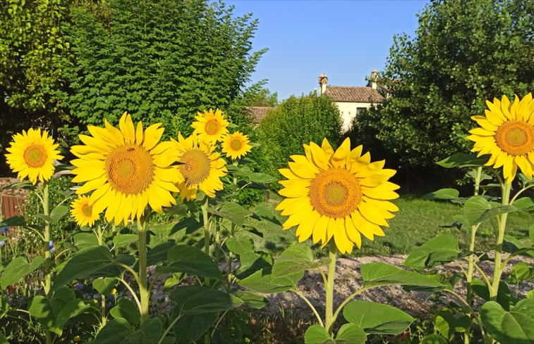 Natuurhuisje in Arcevia