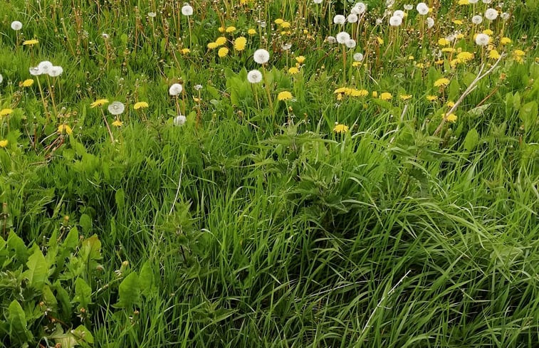 Natuurhuisje in Hem